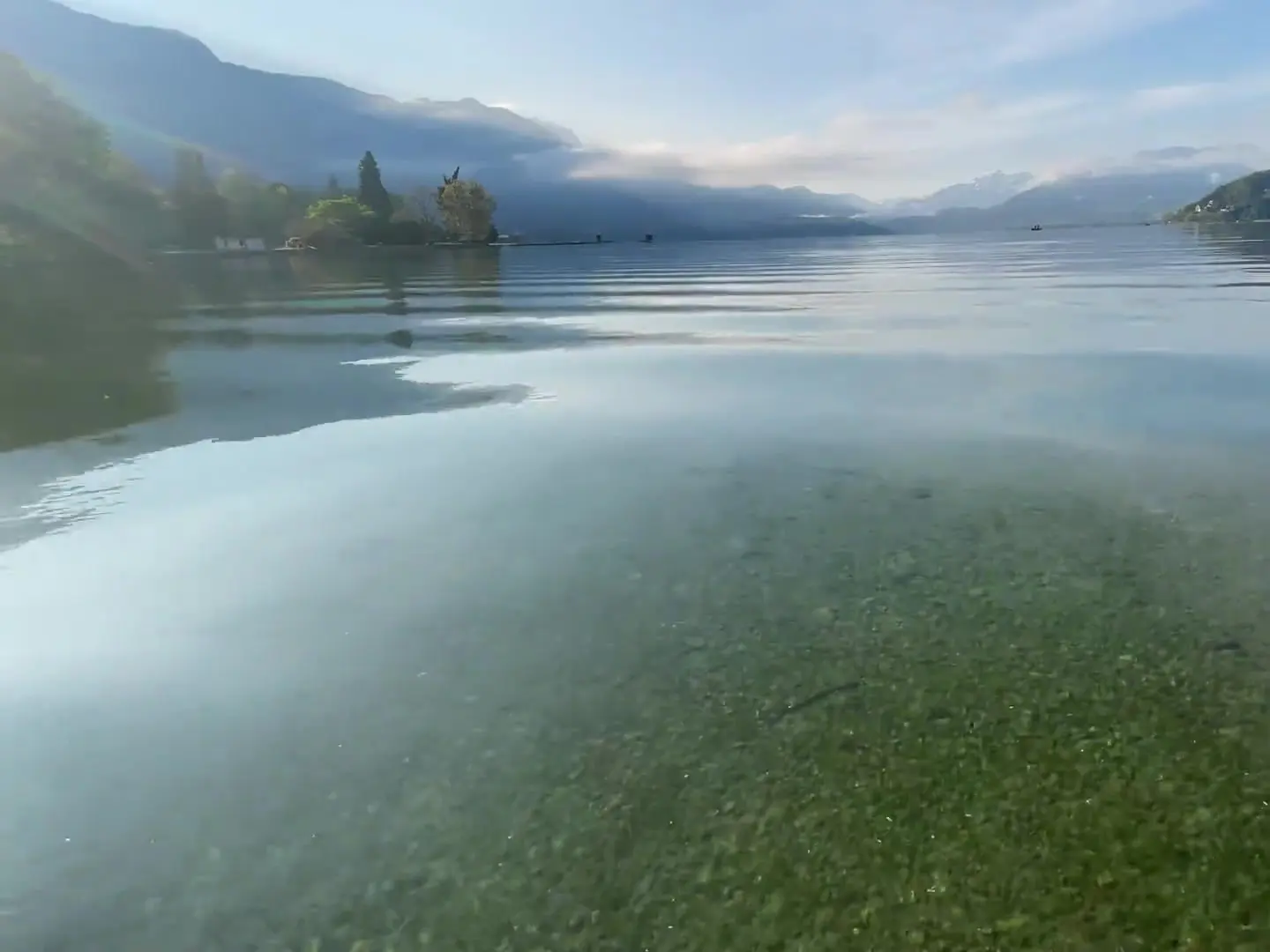 Rive ouest du lac d’Annecy et ses reflets, vue générale du lac sans lien direct avec la terrasse du restaurant.